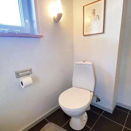 Vii Feriehus Skjern